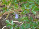 DSC07578