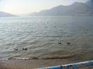 DSC07585