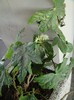 DSC07597