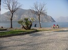 DSC07608