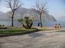 DSC07609