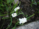 P1120530