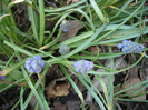 P1120531