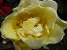 P1000270
