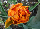 P1000304