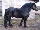 k,MzkyNjA1NTQsNTg4NjYw,f,Murzynek_1823_G_B_mw_big[1]