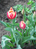 DSCN2447