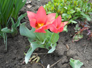 DSCN2453