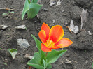 DSCN2456