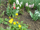 DSCN2458