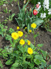 DSCN2459