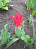 DSCN2463