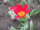 DSCN2464