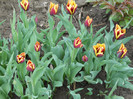 DSCN2469
