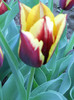 DSCN2471