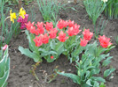DSCN2474