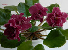 DSCN8077