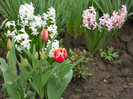 DSCN2478