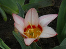 DSCN2482