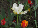 DSCN2483