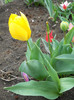 DSCN2485