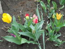 DSCN2487