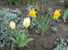 DSCN2498