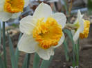 DSCN2507