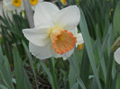 DSCN2510
