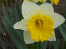 DSCN2512
