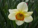DSCN2516