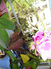 DSC01782