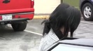 Demi Lovato looking healthy and happy spotted out and about in LA 0362