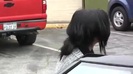 Demi Lovato looking healthy and happy spotted out and about in LA 0380