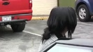 Demi Lovato looking healthy and happy spotted out and about in LA 0387