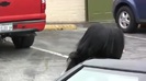 Demi Lovato looking healthy and happy spotted out and about in LA 0417