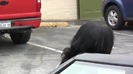 Demi Lovato looking healthy and happy spotted out and about in LA 0418