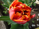 P1000307