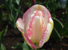 P1000310