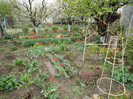 DSC04371
