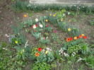 DSC04390