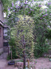 DSC04488