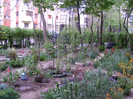 DSC04494