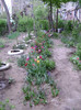 DSC04495