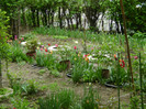DSC04499