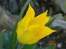 011