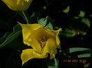 032