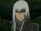 squalo 8