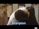 Scorpion