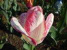 P1000342